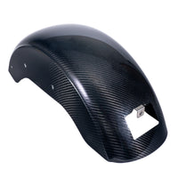 Lowrider S & ST Carbon Fiber Rear Fender