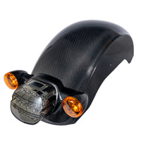 Lowrider S & ST Carbon Fiber Rear Fender